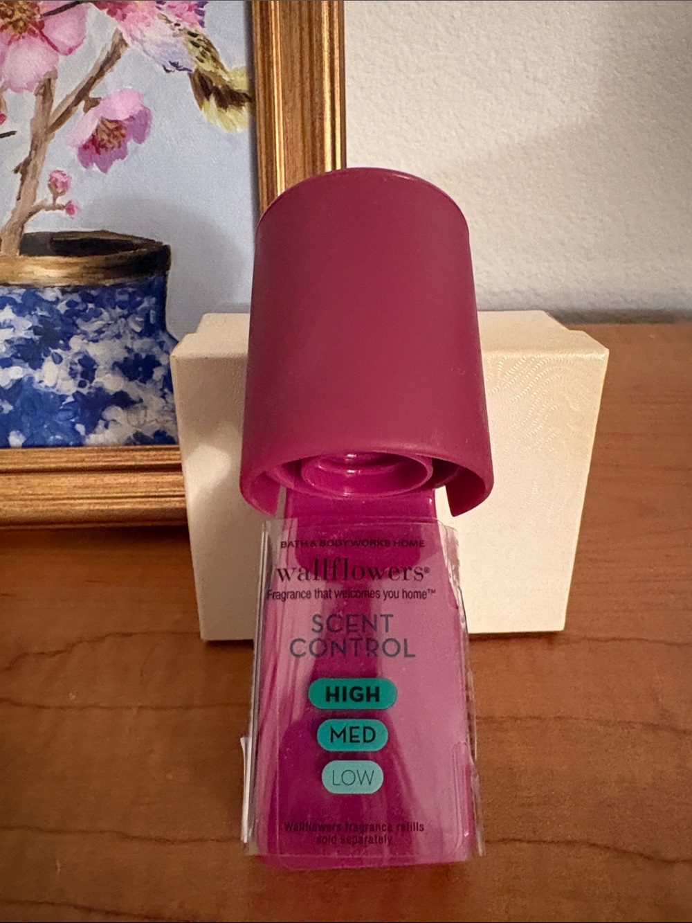 Bath & Body Works Burgundy Scent Control Wallflower Plug